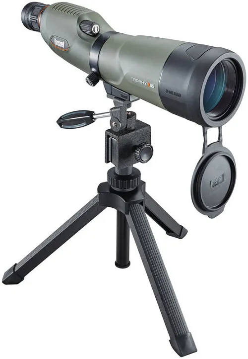 Зрительная труба Bushnell Trophy Xtreme 20–60x65, прямая картинка