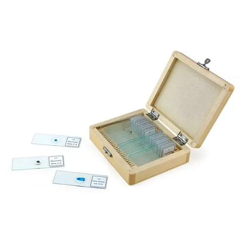 Набор микропрепаратов Celestron, 25 шт. картинка