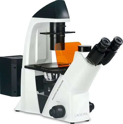 Микроскоп флуоресцентный инвертированный LACOPA IMF-020 картинка