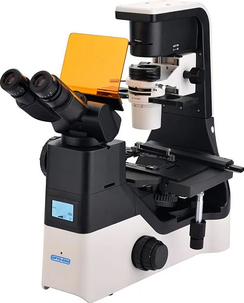 Микроскоп флуоресцентный инвертированный Opto-Edu A16.1065 картинка