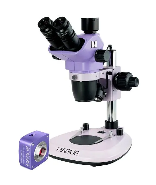 Микроскоп стереоскопический цифровой MAGUS Stereo D8T PLUS картинка