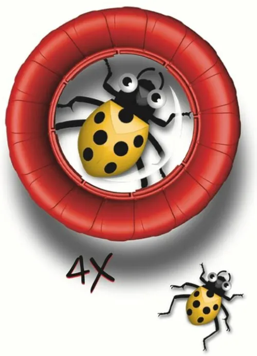 Банка для насекомых Navir «Мега» с лупой 3x и жуком фотография