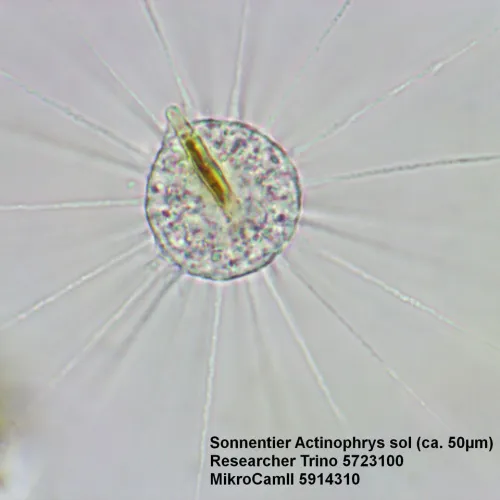 Микроскоп Bresser Researcher Trino фотография