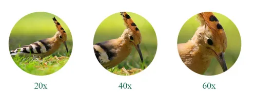 Зрительная труба SVBONY SV46P 20–60x80 ED WP изображение