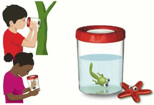 Банка для насекомых Navir «Мега» с лупой 3x и жуком фото