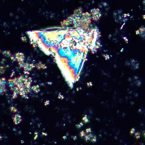 Микроскоп поляризационный цифровой MAGUS Pol D850 картинка