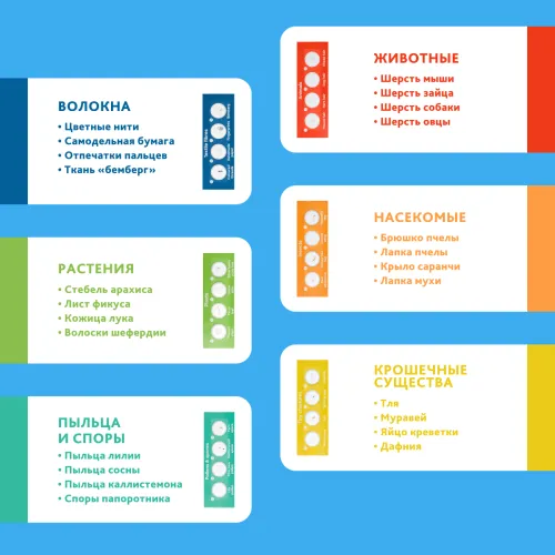 Микроскоп Levenhuk Discovery Micro с книгой фотография