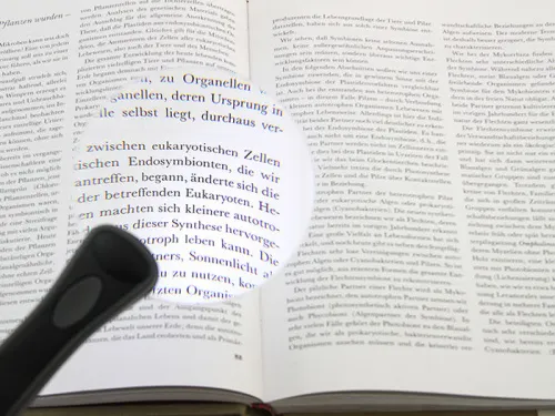 Лупа на ручке Veber 2,5x, 90 мм, с подсветкой (MG2B-3) изображение