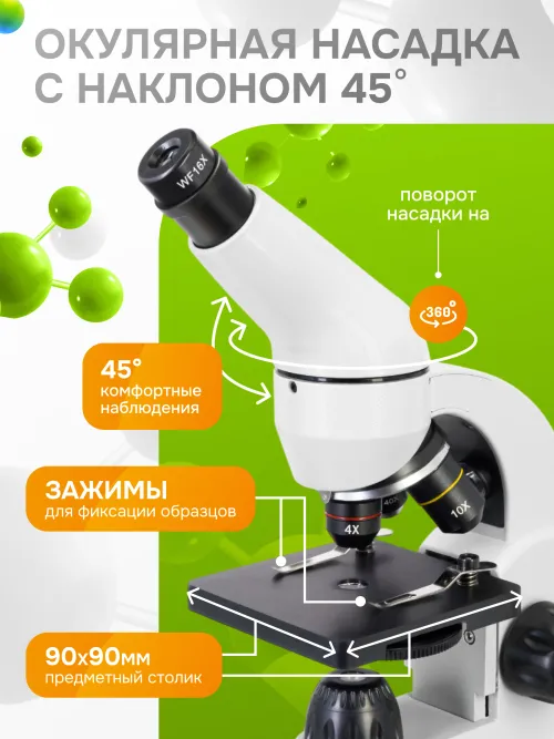 Микроскоп Levenhuk Rainbow 50L PLUS картинка