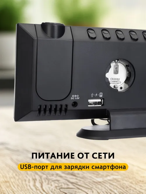 Часы-термометр Levenhuk Wezzer Tick H50 фото