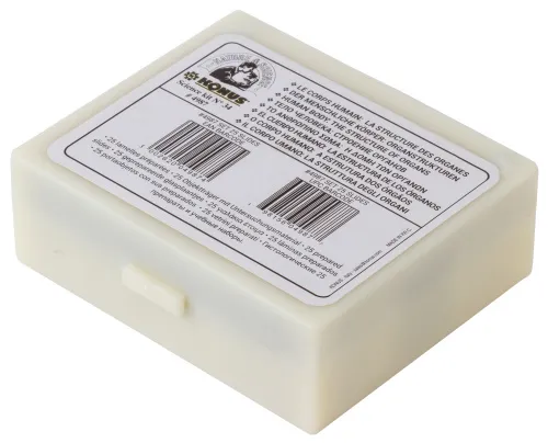 Набор микропрепаратов Konus 25: «Человеческое тело» картинка