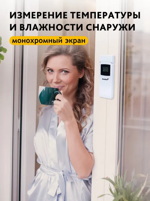 Термометр Levenhuk Wezzer BASE L50 картинка