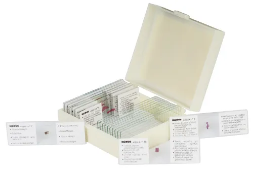 Набор микропрепаратов Konus 10: «Ящерицы, змеи и птицы» изображение