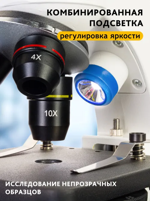 Микроскоп Levenhuk Discovery Pico с книгой фото