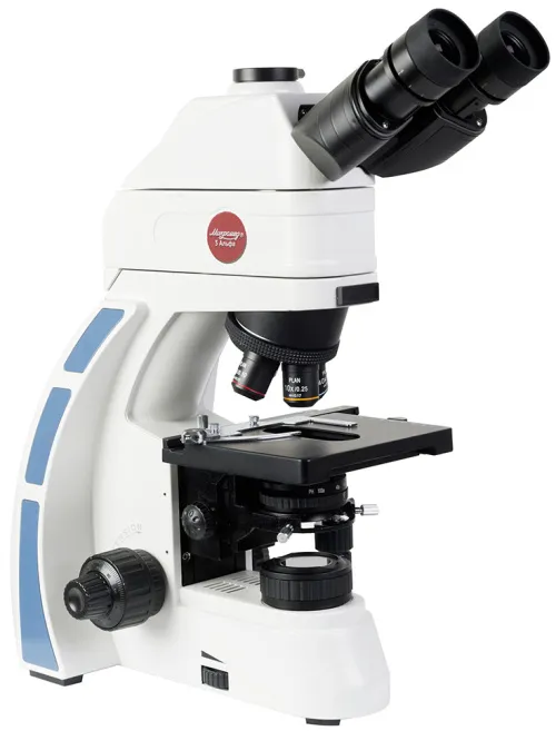 Микроскоп Микромед-3 Альфа, люминесцентный изображение