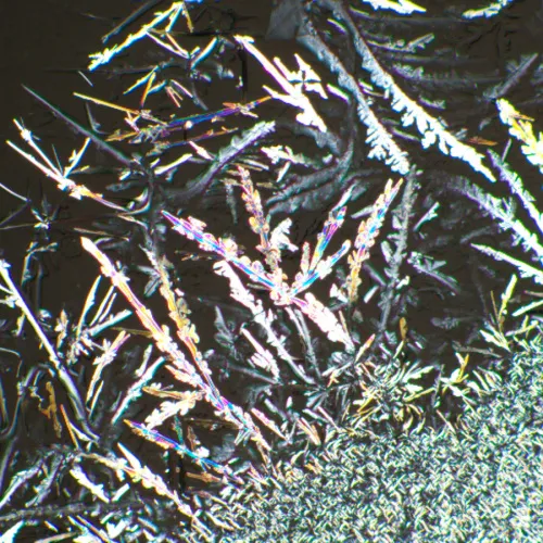 Устройство простой поляризации MAGUS SPD2 фото