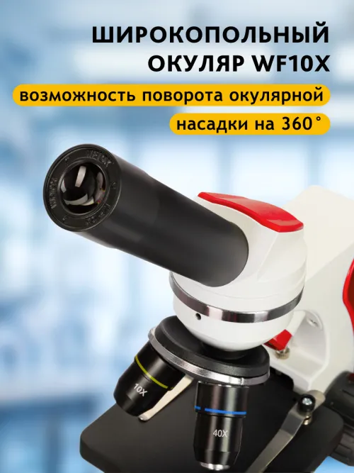 Микроскоп Levenhuk Discovery Pico с книгой картинка