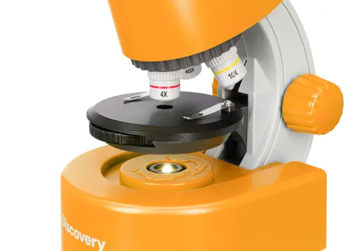Микроскоп Levenhuk Discovery Micro с книгой картинка