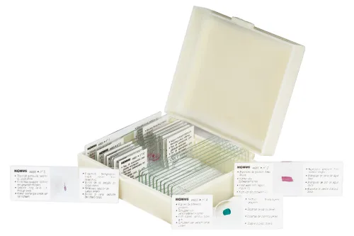 Набор микропрепаратов Konus 10: «Рыбы, лягушки и другие земноводные» изображение