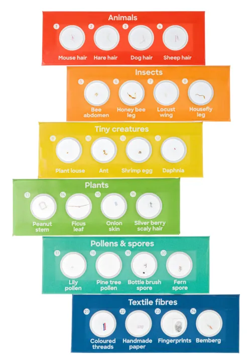 Набор микропрепаратов Levenhuk Discovery «Флора и фауна», 24 шт. фотография