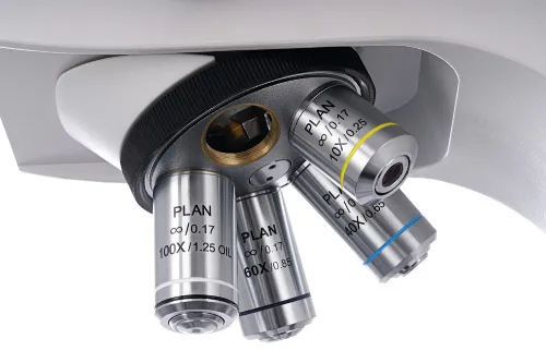 Микроскоп Levenhuk MED 40B, бинокулярный фото