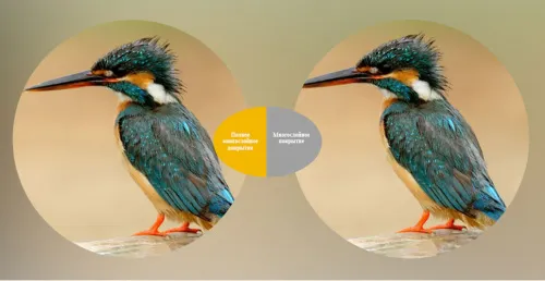 Зрительная труба SVBONY SV408 20–60x80 WP фотография