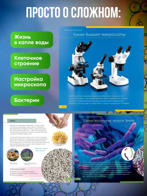 Книга знаний «Невидимый мир» изображение