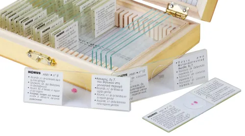 Набор микропрепаратов Konus 15: «Размножение беспозвоночных» фото