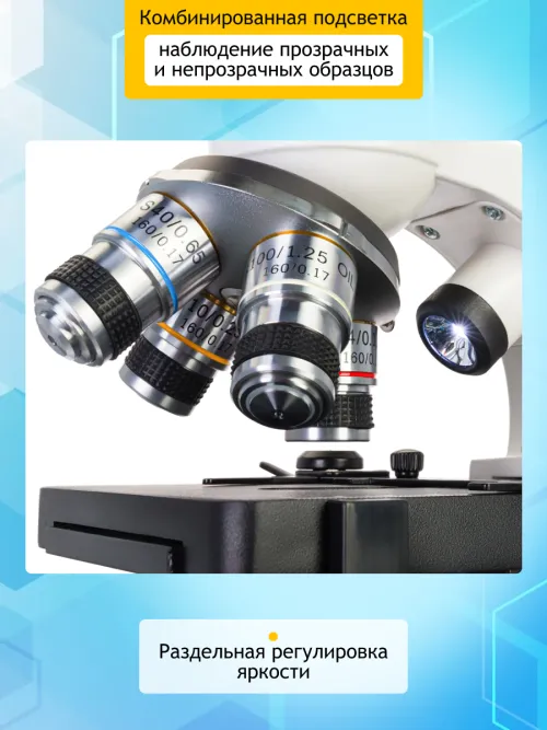 Микроскоп цифровой Levenhuk Discovery Atto Polar с книгой фото
