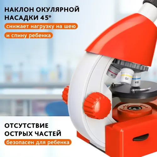 Микроскоп Levenhuk Discovery Micro с книгой изображение