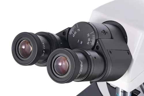 Микроскоп Levenhuk MED 40B, бинокулярный фотография