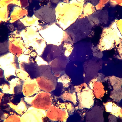 Микроскоп поляризационный цифровой MAGUS Pol D850 LCD фото