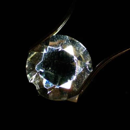 Конденсор темного поля для стереомикроскопов MAGUS DFC1 фотография