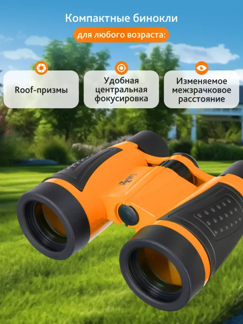 Комплект раций и биноклей Levenhuk LabZZ WTT10 картинка