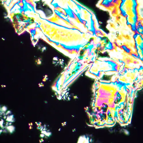 Микроскоп поляризационный MAGUS Pol 890 картинка