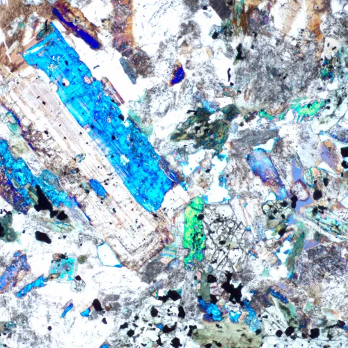 Микроскоп поляризационный MAGUS Pol 850 фотография