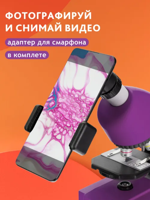 Микроскоп Bresser Junior 40–640x картинка
