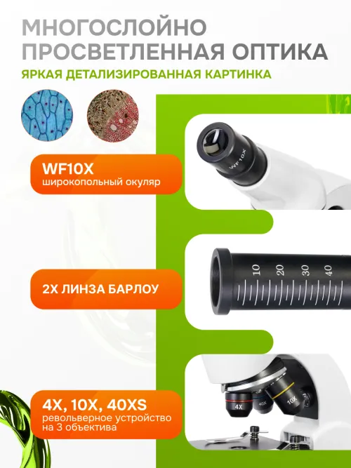 Микроскоп Levenhuk Rainbow 50L изображение