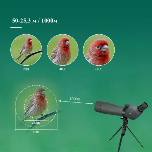 Зрительная труба SVBONY SV411 20–60x80 WP со штативом фото