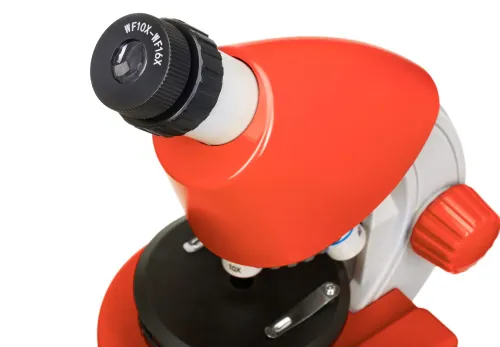 Микроскоп Levenhuk Discovery Micro с книгой фотография