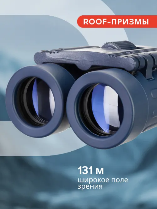 Бинокль Levenhuk Discovery Basics BB 8x21 картинка