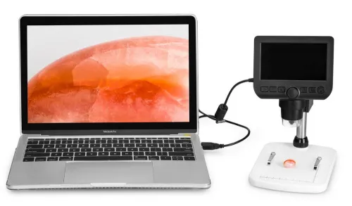 Микроскоп цифровой Levenhuk DTX 350 LCD изображение