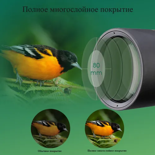 Зрительная труба SVBONY SV46P 20–60x80 ED WP картинка