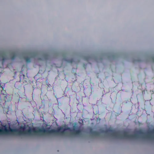 Микроскоп поляризационный цифровой MAGUS Pol D850 LCD картинка