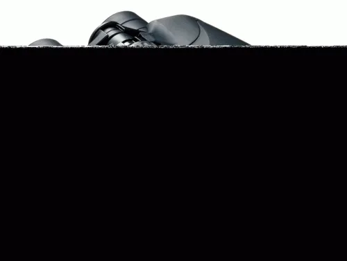 Бинокль Olympus 8x40 DPS I изображение