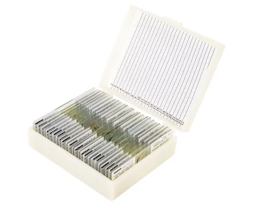 Набор микропрепаратов Konus 25: «Беспозвоночные и насекомые» фотография