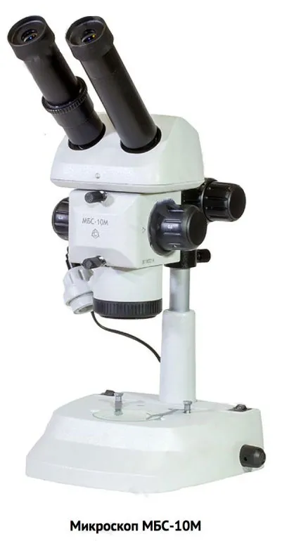 Микроскоп стереоскопический МБС-10М изображение