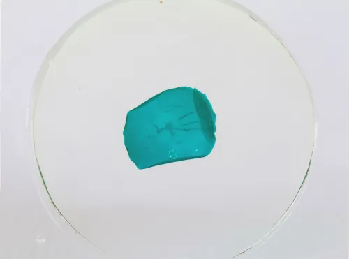 Набор микропрепаратов Konus 10: «Рыбы, лягушки и другие земноводные» изображение