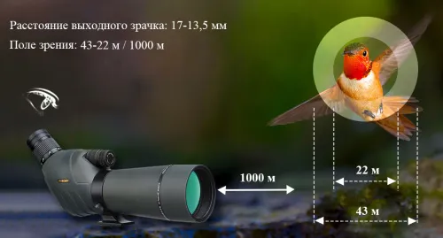 Зрительная труба SVBONY SV411 20–60x70 WP со штативом картинка