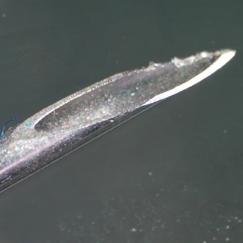 Микроскоп стереоскопический цифровой MAGUS Stereo D9T изображение